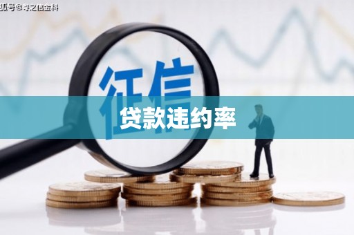 儋州贷款违约率