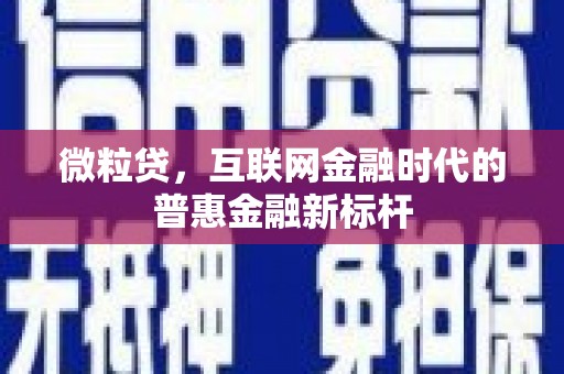 儋州微粒贷，互联网金融时代的普惠金融新标杆