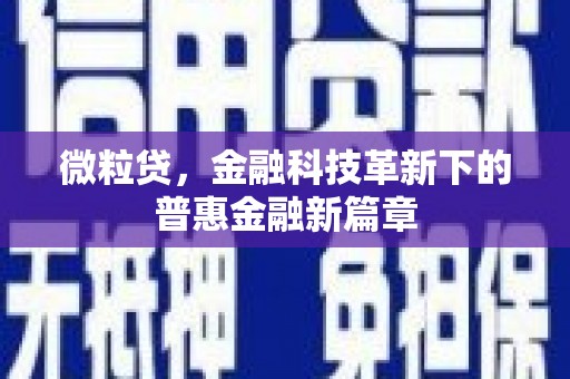 儋州微粒贷，金融科技革新下的普惠金融新篇章