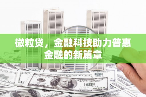 儋州微粒贷，金融科技助力普惠金融的新篇章