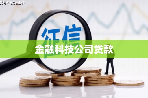 儋州金融科技公司贷款