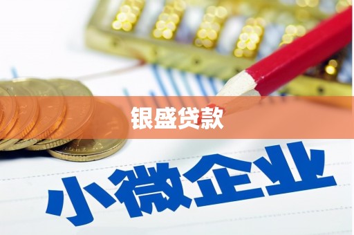 儋州银盛贷款