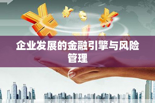 儋州企业发展的金融引擎与风险管理