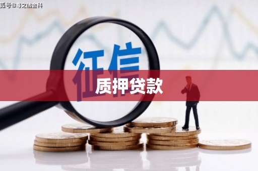 儋州质押贷款