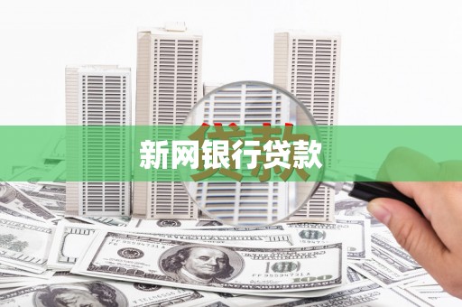 儋州新网银行贷款