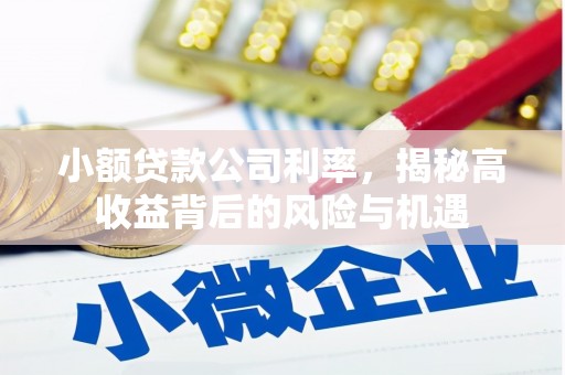 儋州小额贷款公司利率，揭秘高收益背后的风险与机遇