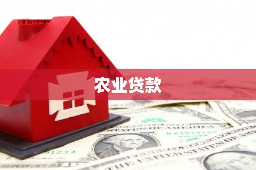 儋州农业贷款