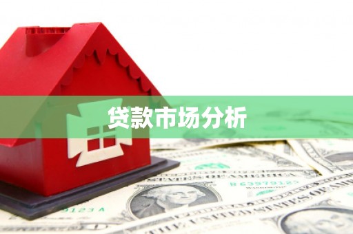 儋州贷款市场分析
