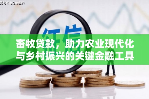 儋州畜牧贷款，助力农业现代化与乡村振兴的关键金融工具