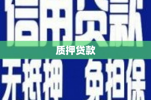 儋州质押贷款