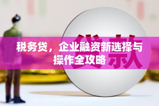 儋州税务贷，企业融资新选择与操作全攻略