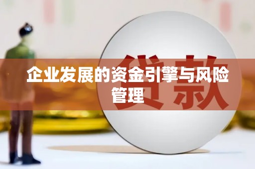 儋州企业发展的资金引擎与风险管理