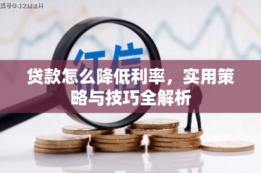 儋州贷款怎么降低利率，实用策略与技巧全解析