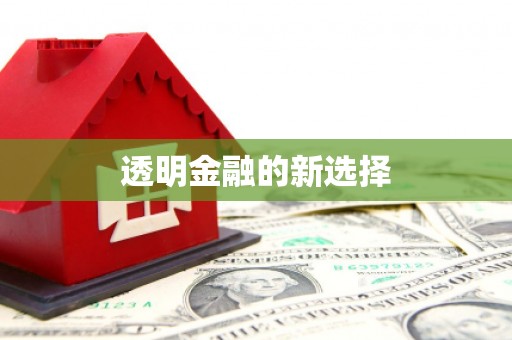 儋州透明金融的新选择