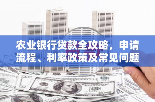 儋州农业银行贷款全攻略，申请流程、利率政策及常见问题解析