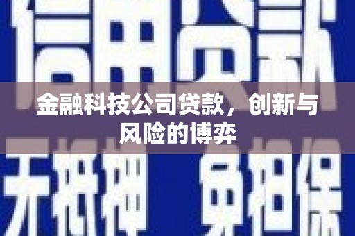 儋州金融科技公司贷款，创新与风险的博弈