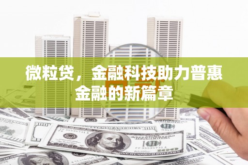 儋州微粒贷，金融科技助力普惠金融的新篇章