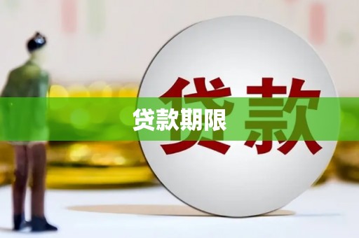 儋州贷款期限