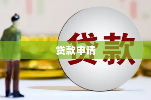 儋州贷款申请