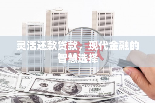 儋州灵活还款贷款，现代金融的智慧选择