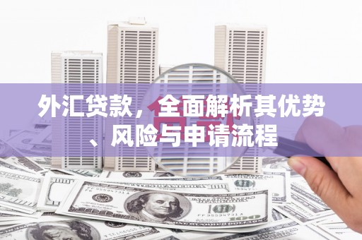 儋州外汇贷款，全面解析其优势、风险与申请流程