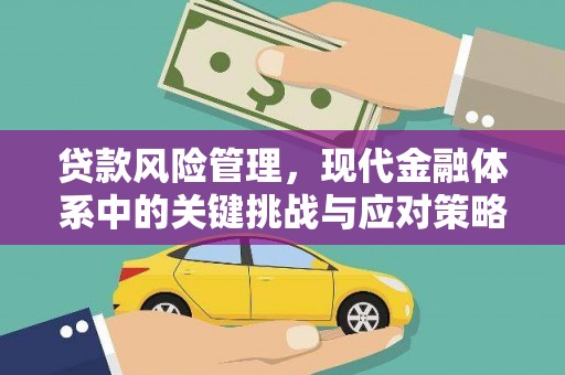 儋州贷款风险管理，现代金融体系中的关键挑战与应对策略