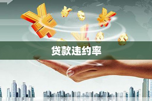 儋州贷款违约率