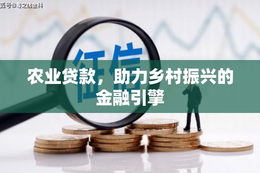 儋州农业贷款，助力乡村振兴的金融引擎