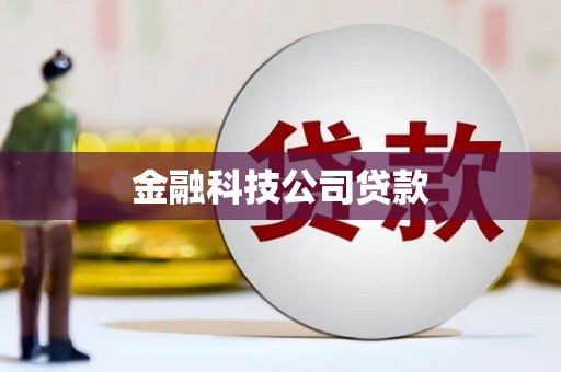儋州金融科技公司贷款
