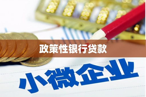 儋州政策性银行贷款