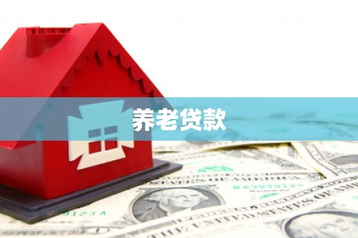 儋州养老贷款