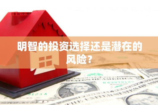 儋州明智的投资选择还是潜在的风险？