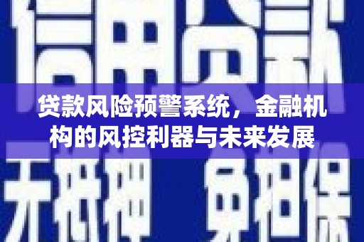 儋州贷款风险预警系统，金融机构的风控利器与未来发展