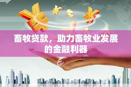 儋州畜牧贷款，助力畜牧业发展的金融利器