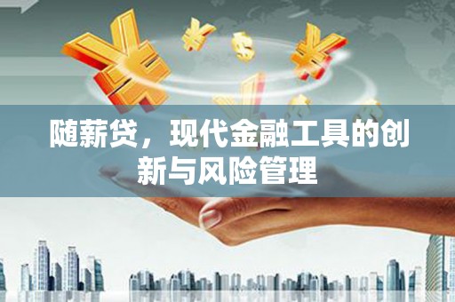儋州随薪贷，现代金融工具的创新与风险管理