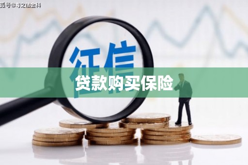 儋州贷款购买保险