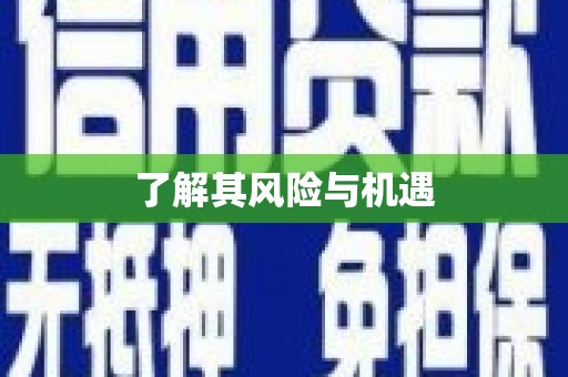 儋州了解其风险与机遇