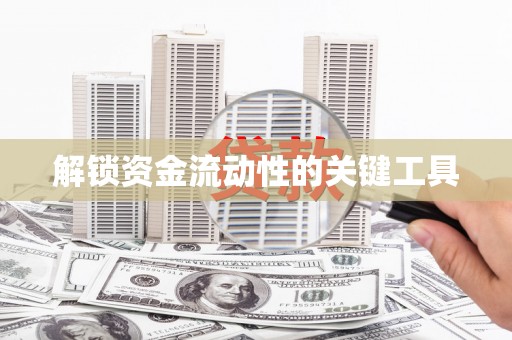 儋州解锁资金流动性的关键工具