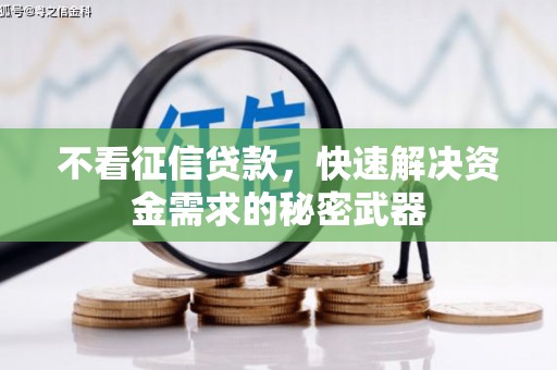儋州不看征信贷款，快速解决资金需求的秘密武器