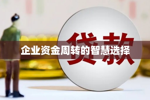 儋州企业资金周转的智慧选择