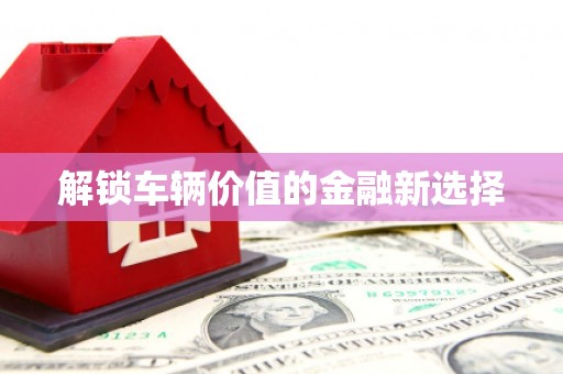 儋州解锁车辆价值的金融新选择