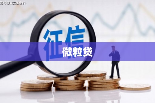 儋州微粒贷