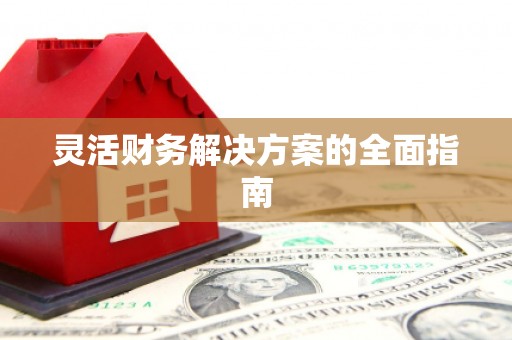 儋州灵活财务解决方案的全面指南