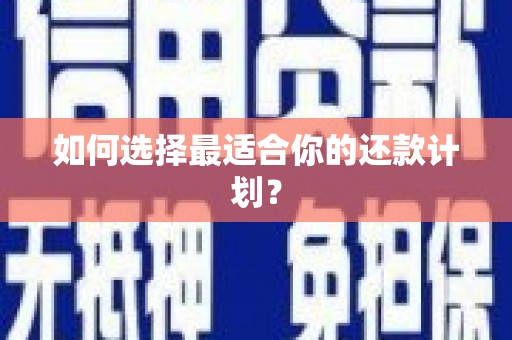 儋州如何选择最适合你的还款计划？
