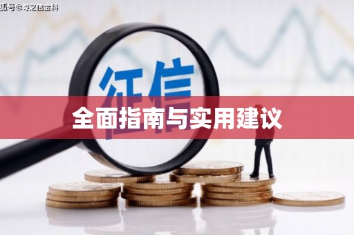 儋州全面指南与实用建议