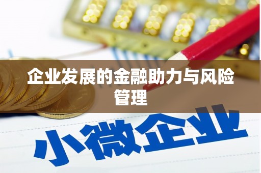 儋州企业发展的金融助力与风险管理