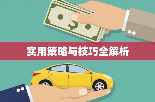 儋州实用策略与技巧全解析