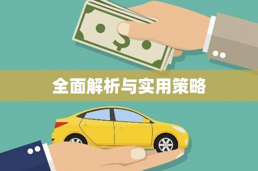 儋州全面解析与实用策略