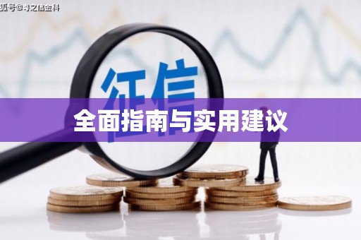 儋州全面指南与实用建议