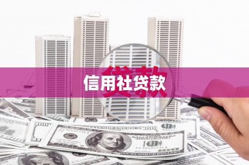 儋州信用社贷款